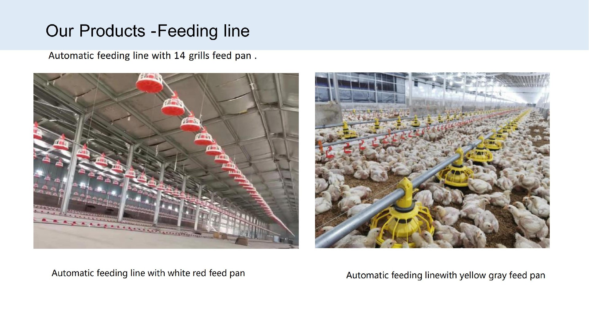 Feeding line