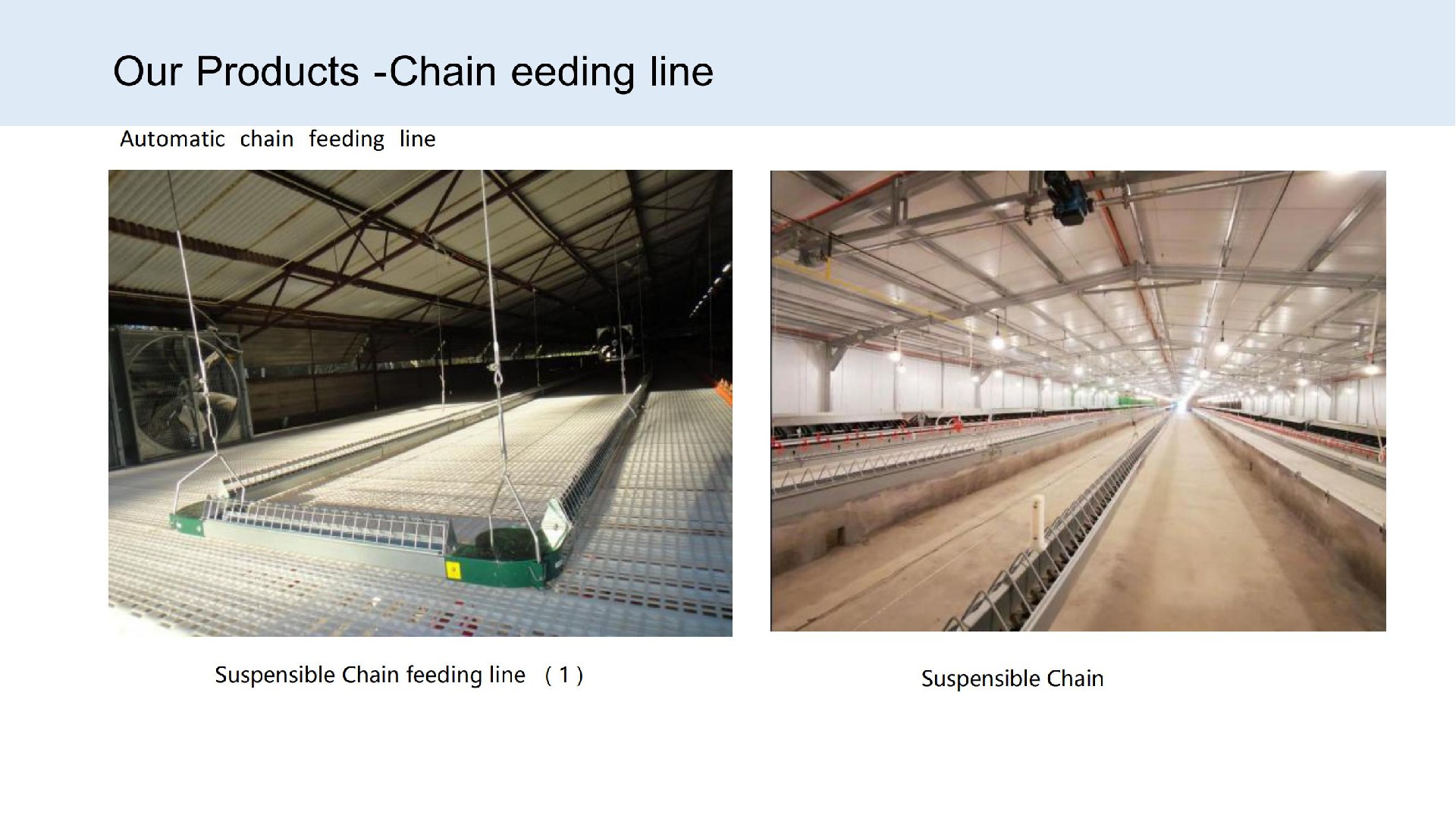 Chain eeding line