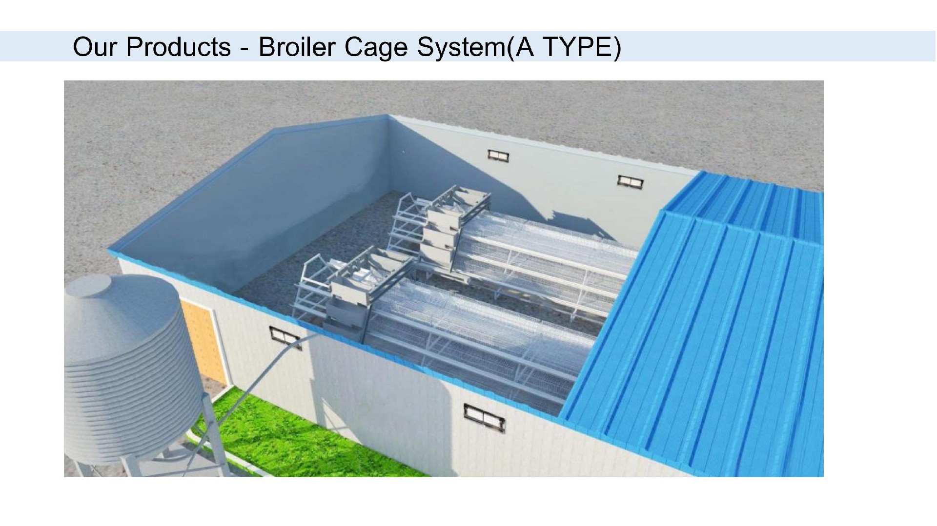Broiler Cage System(A TYPE)
