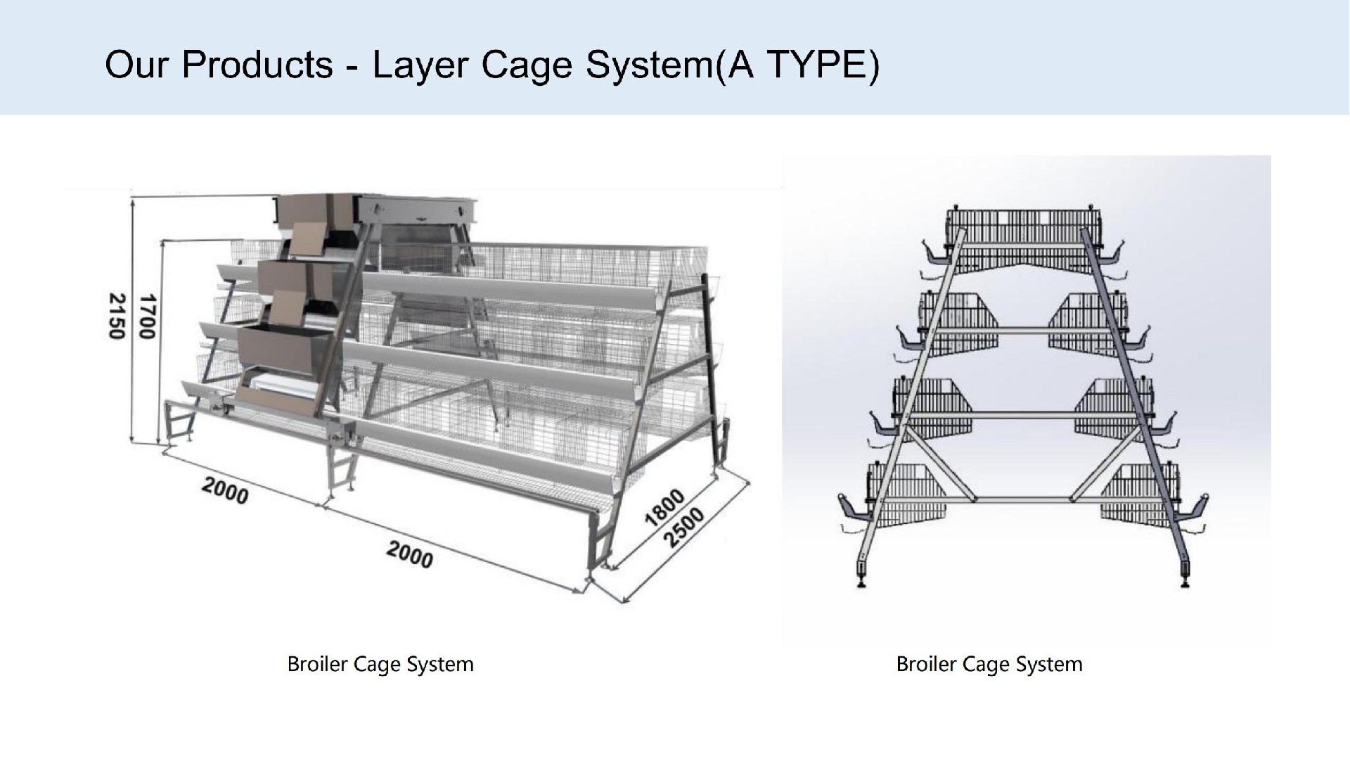 Layer Cage System(A TYPE)