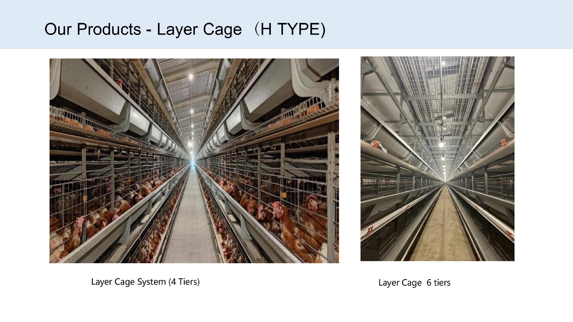 Layer Cage（H TYPE)