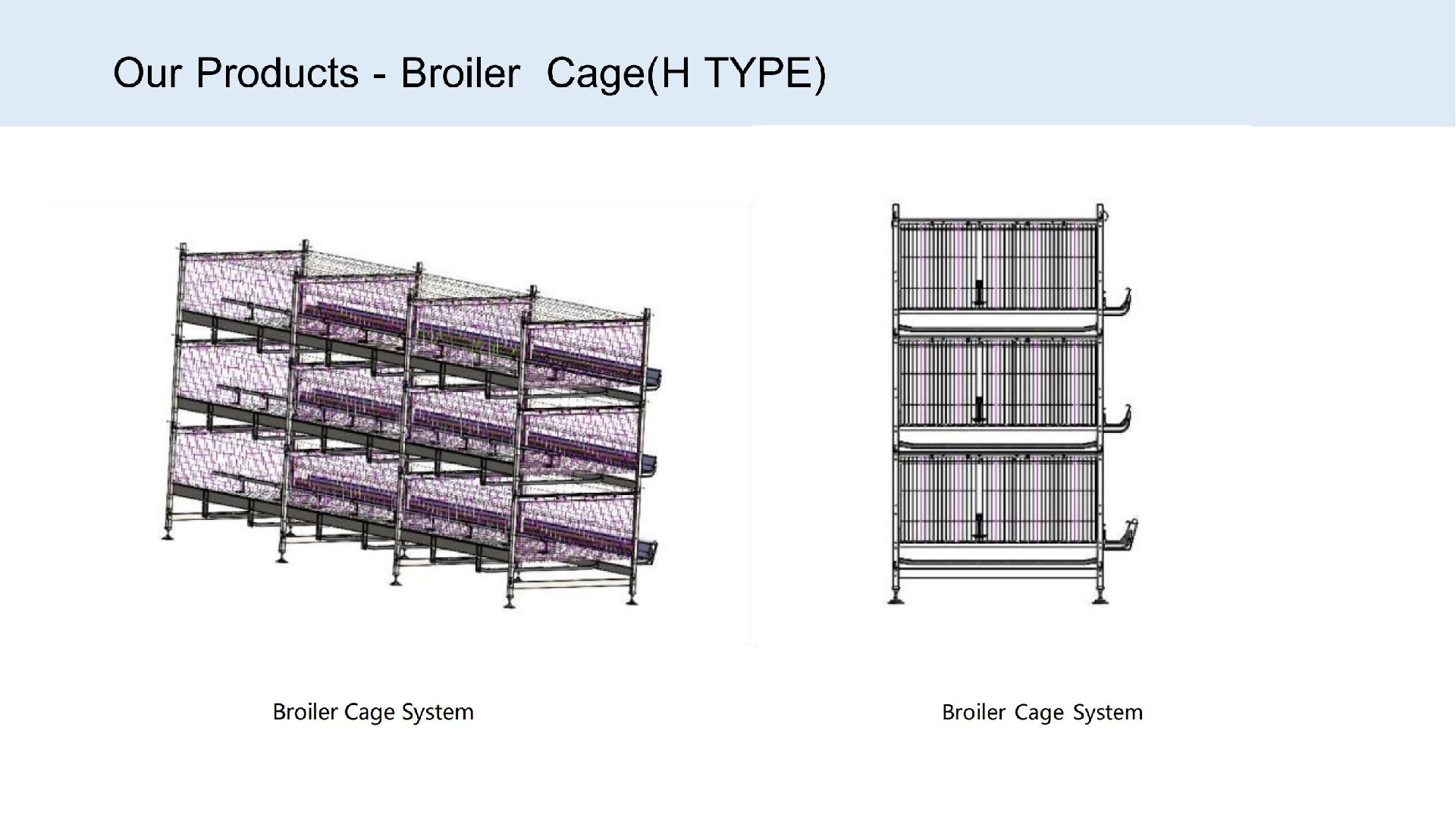 Broiler Cage(H TYPE)